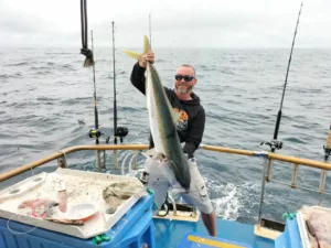 Giant yellow tail fish